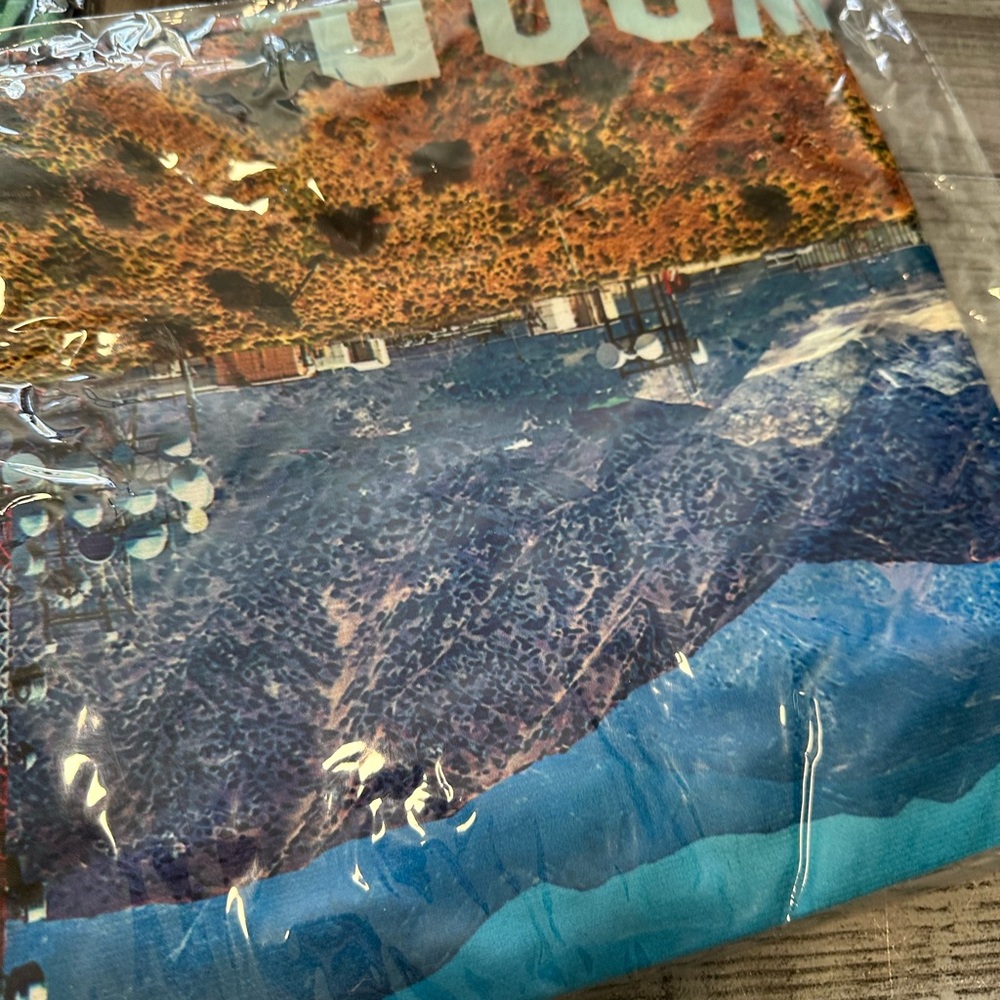 Brand new Pillow Covers - Picture 3 of 10